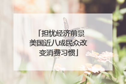 担忧经济前景 美国近八成民众改变消费习惯